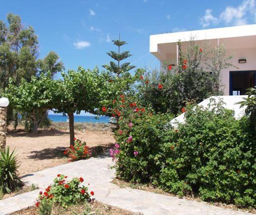 Apartamento Fragokastello Star Frangokastello Exterior foto