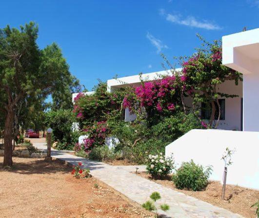 Apartamento Fragokastello Star Frangokastello Exterior foto
